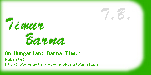 timur barna business card